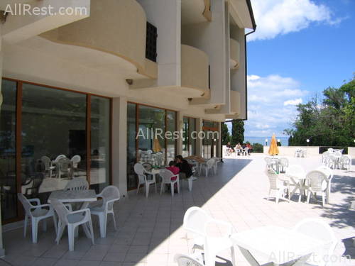 Dolphin Hotel 11
